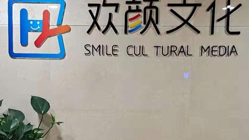 媒介投放案例拆解：揭秘成功背后的关键要素