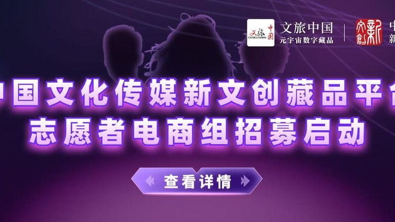 MG动画制作：揭秘创意与技术的完美融合**