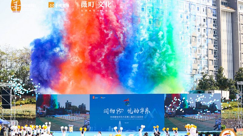 MG动画与传统动画风格：一场视觉与技术的对话